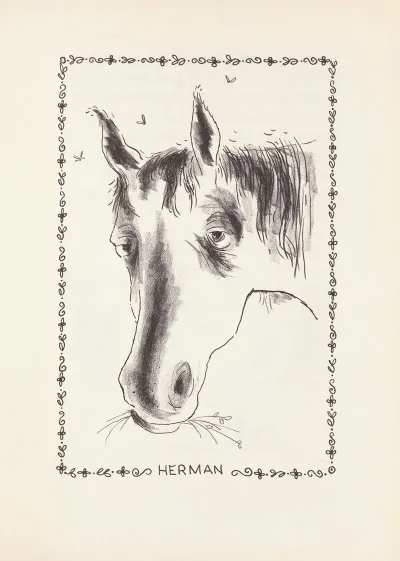 Pauls Horse Herman Pl 02