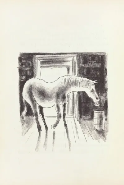Pauls Horse Herman Pl 07