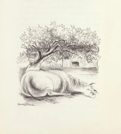 Pauls Horse Herman Pl 15