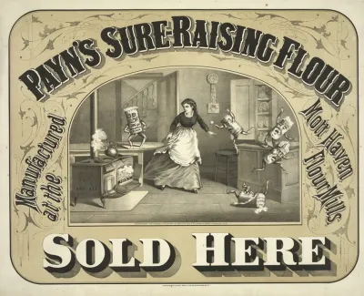 Payns Sure Raising Flour