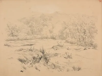Paysage 28