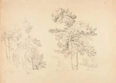 Paysage 29