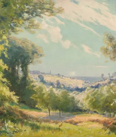 Paysage 5