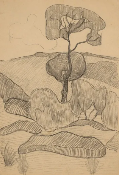 Paysage 67