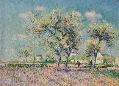 Paysage 76