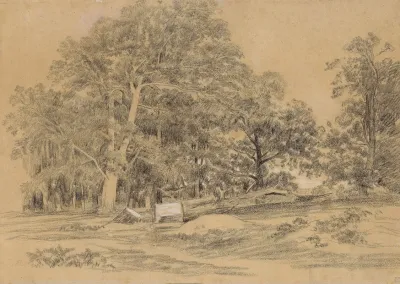 Paysage Arbore
