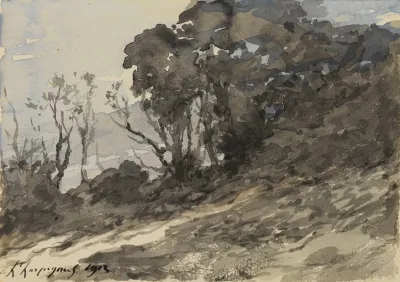 Paysage Arbustes