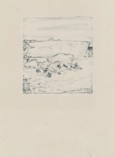 Paysage Au Rocher