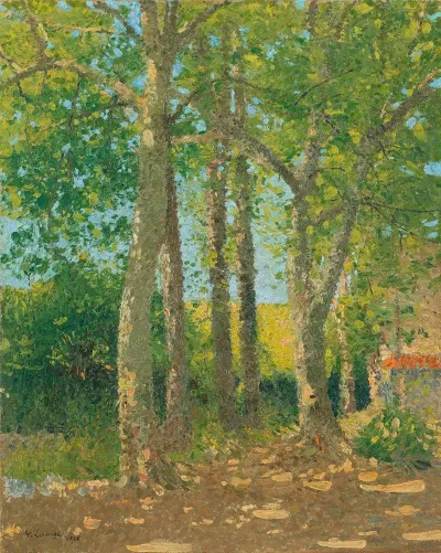 Paysage Aux Grands Arbres