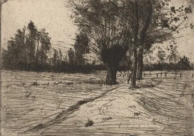 Paysage Avec Des Arbres