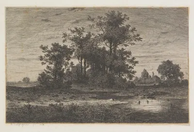 Paysage Boise Avec L Etang