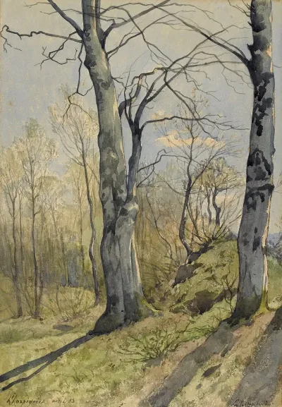 Paysage De Sous Bois 2