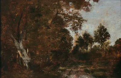 Paysage De Sous Bois