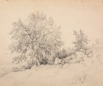 Paysage Des Cevennes