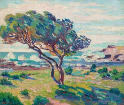 Paysage Du Midi Vue Du Brusc