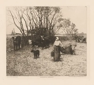 Paysage Et Animaux