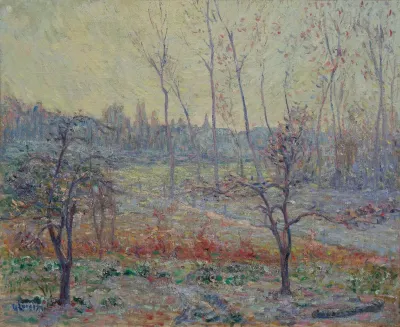 Paysage Givre De La Brume