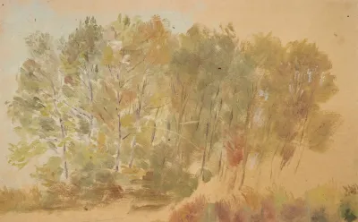 Paysage Lacustre Au Cours Deau 3