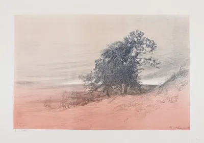 Paysage Landscape
