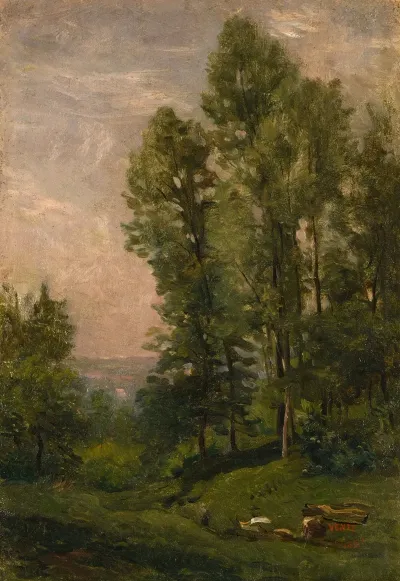 Paysage Stade De Creation Etude