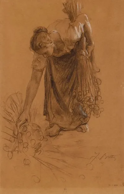 Paysanne Ramassant Une Gerbe Doeillettes