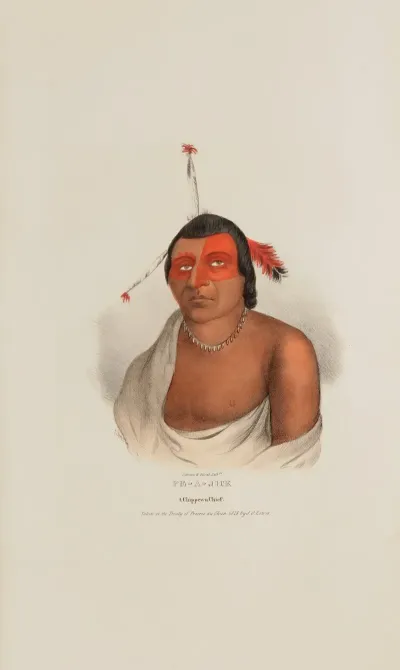 Pe A Jick A Chippewa Chief