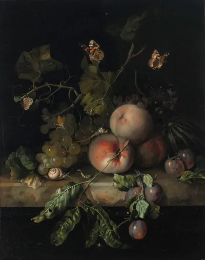Peaches Grapes And Plums With A Dragonfly Snail Caterpillar Butterfly And Other Insects On A Stone Ledge
