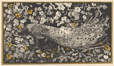 Peacock 2