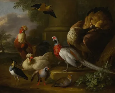 Peacock Pheasant Chickens Partridges And A Lapwing In A Landscape