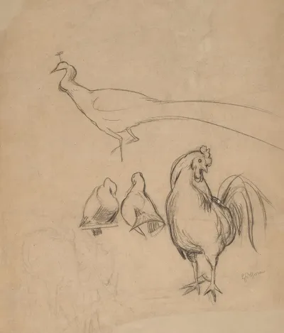 Peacock Rooster And Two Pigeons