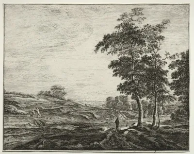Peasant Seen From The Back