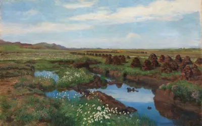 Peat Bog At Jaeren 2