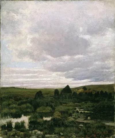 Peat Bog At Jaeren
