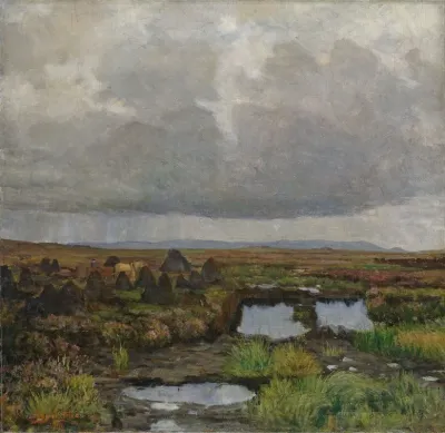 Peat Bog On Jaeren