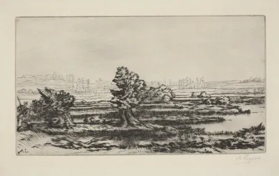 Peat Bogs 2