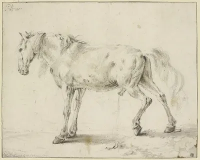Peeing Horse