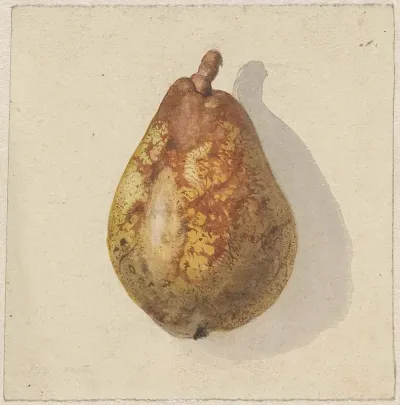 Peer