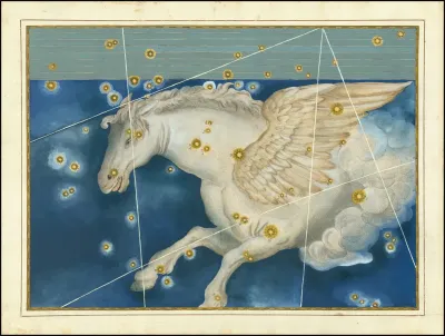 Pegasus 4