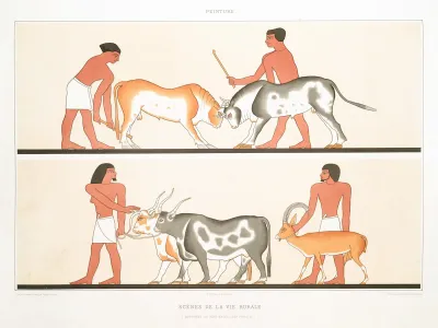 Peinture Scenes De La Vie Rurale Hypogees De Beni Hacen Xiie Dynastie