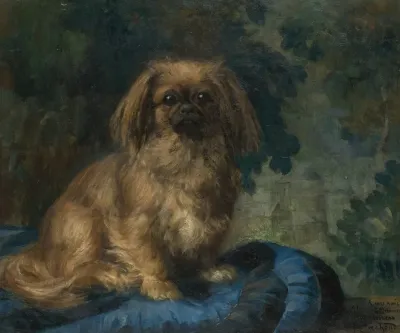 Pekingese