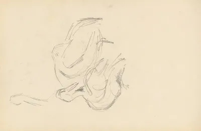 Pelicans
