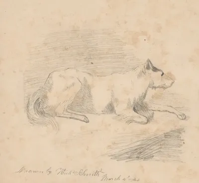 Pencil Exercise No 2 Lying Dog