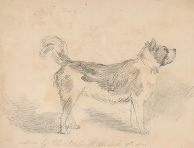 Pencil Exercise No 3 Standing Dog