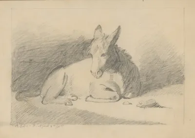 Pencil Exercise No 5 Donkey