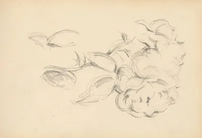 Peonies 2