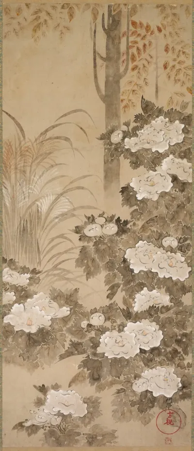 Peonies 9