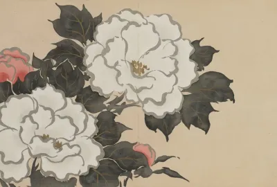 Peonies Fukamigusa