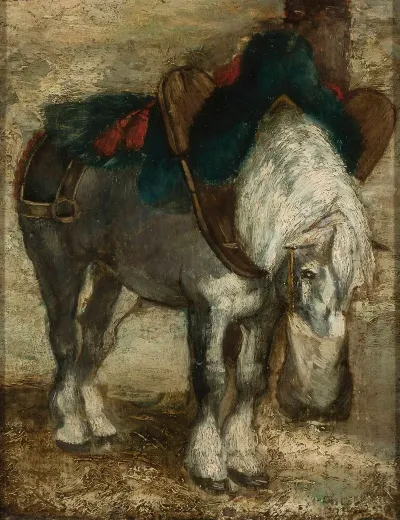 Percheron Harnessed