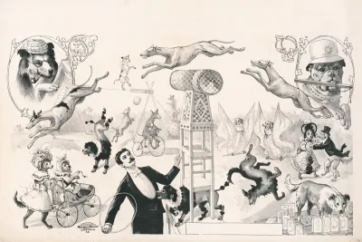 Performing Dogs