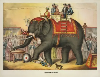 Performing Elephant